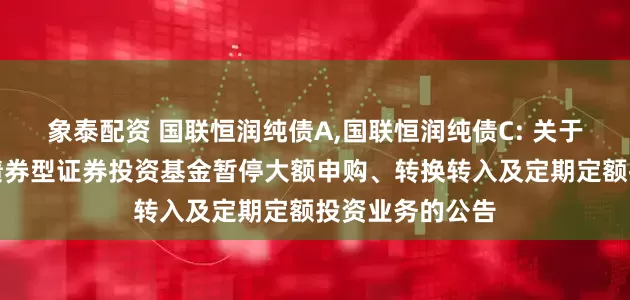 象泰配资 国联恒润纯债A,国联恒润纯债C: 关于国联恒润纯债债券型证券投资基金暂停大额申购、转换转入及定期定额投资业务的公告