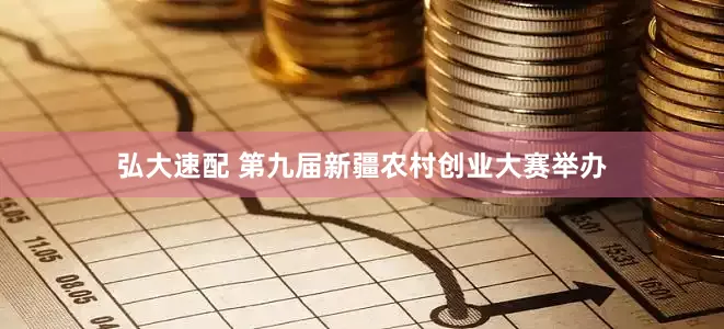弘大速配 第九届新疆农村创业大赛举办