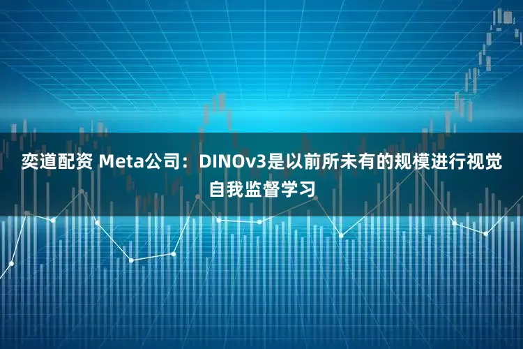 奕道配资 Meta公司：DINOv3是以前所未有的规模进行视觉自我监督学习